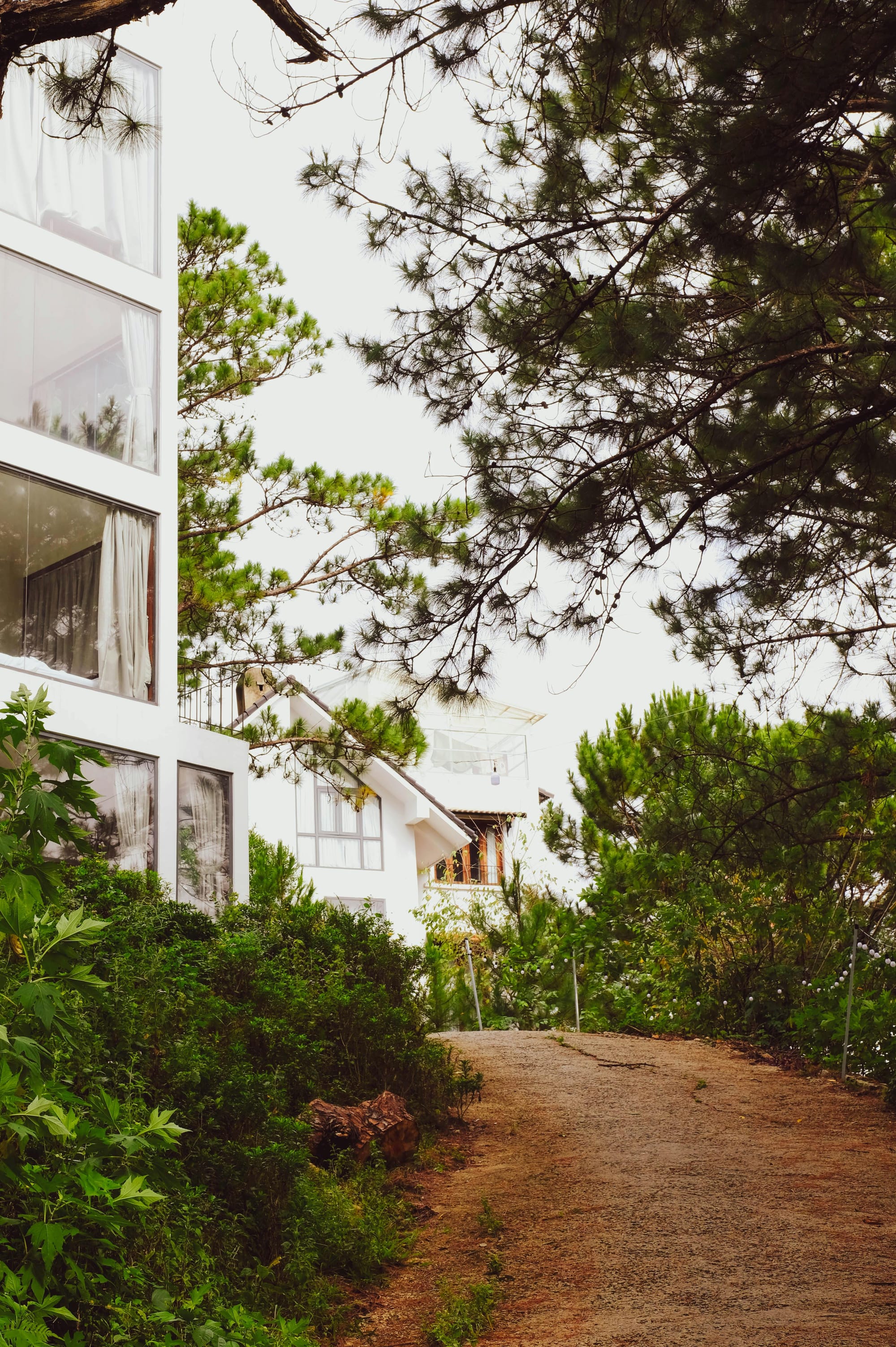 Barra Best's Hillside Home: A Light-Filled Sanctuary in Belfast