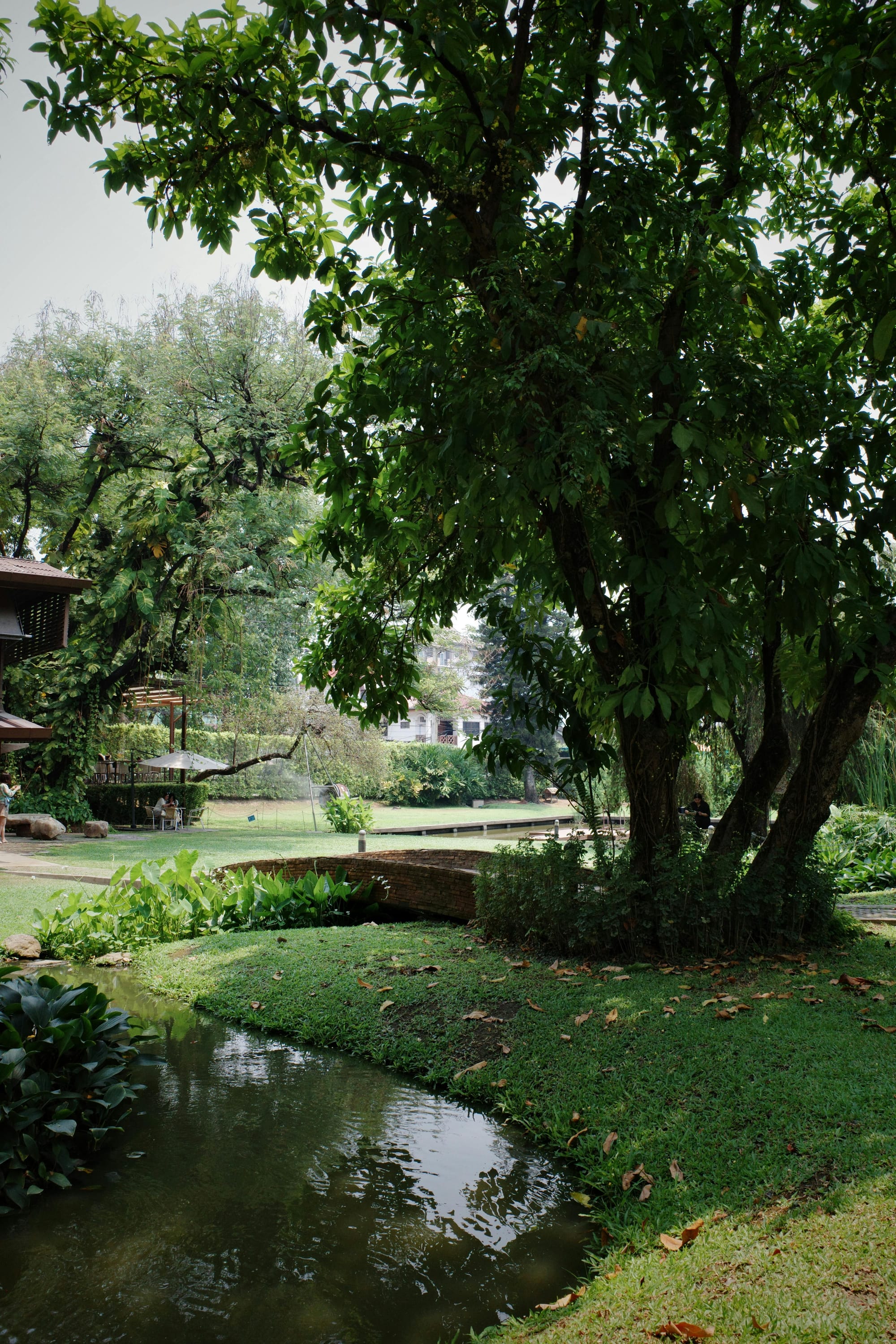 Explore Bill Bensley’s Enchanted Chiang Mai Home