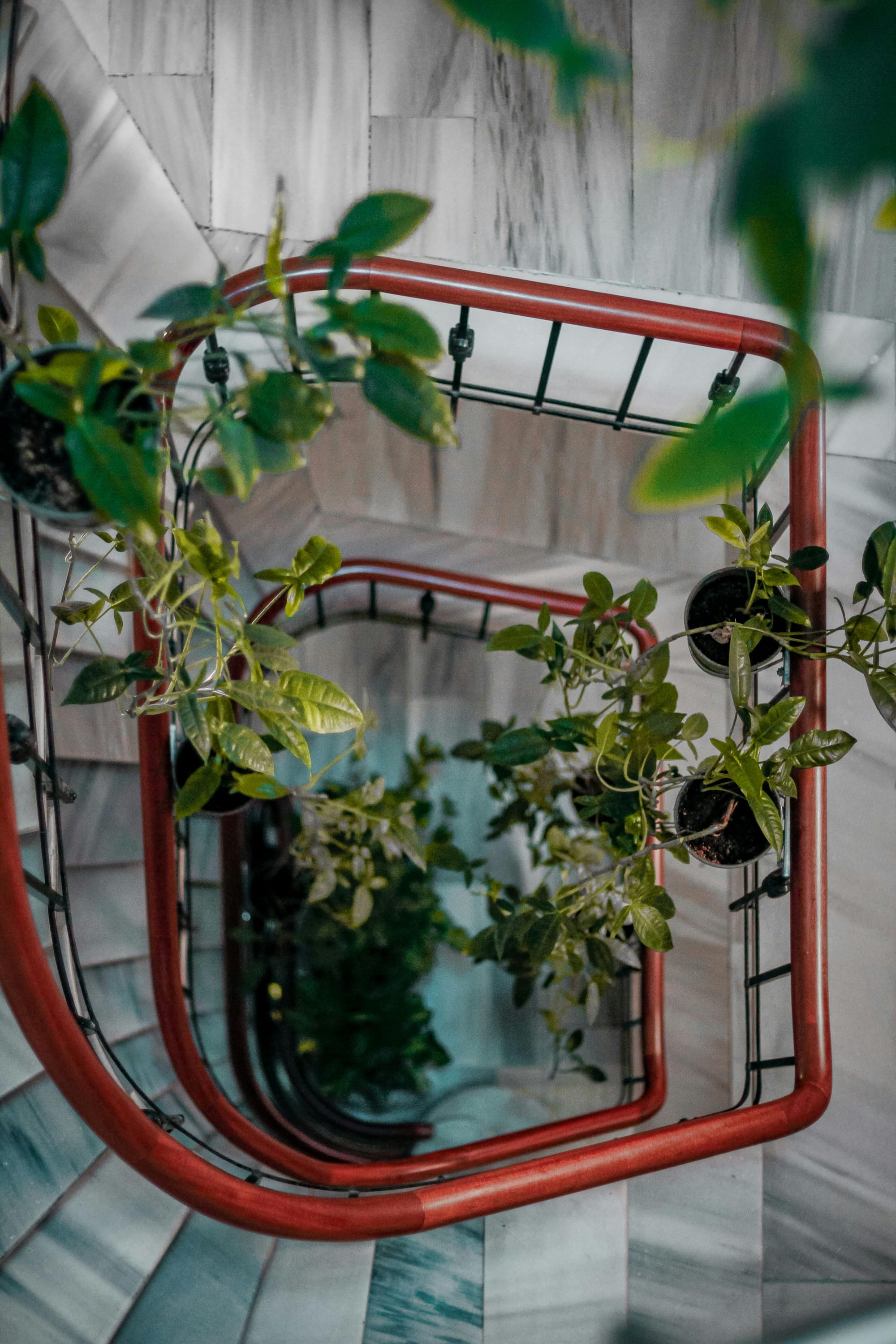 Choosing the Right Plants for 2026 Interior Trends - Soltech